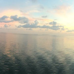 Meet your Posher, Cameron